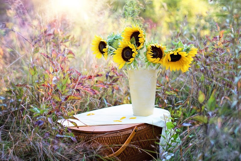 Outdoor Planters